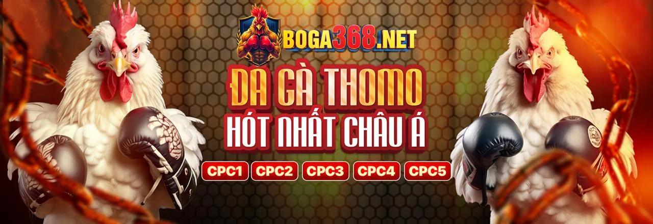 Đấu trường đá gà kịch tính tại kim88 club